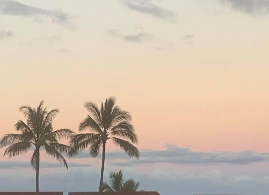 Valley Vibes And Beach Bliss Condo For Family Nomads Waianae Appartement
